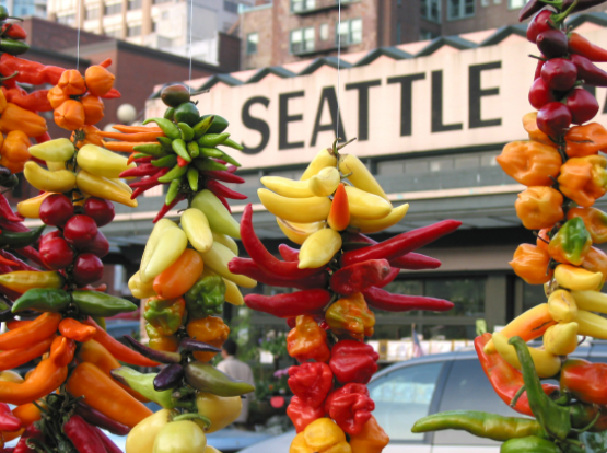 A Year of Family Activities header image.