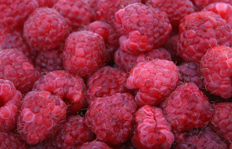 U-Pick Fruit Around the Region header image.