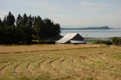 San Juan Island Summer Vacation header image.