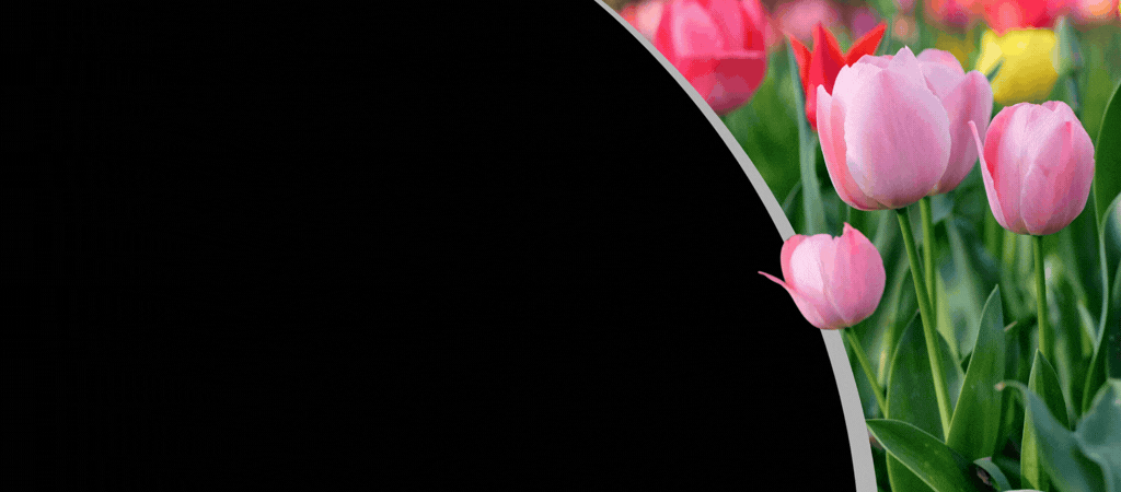 April Newsletter header image.