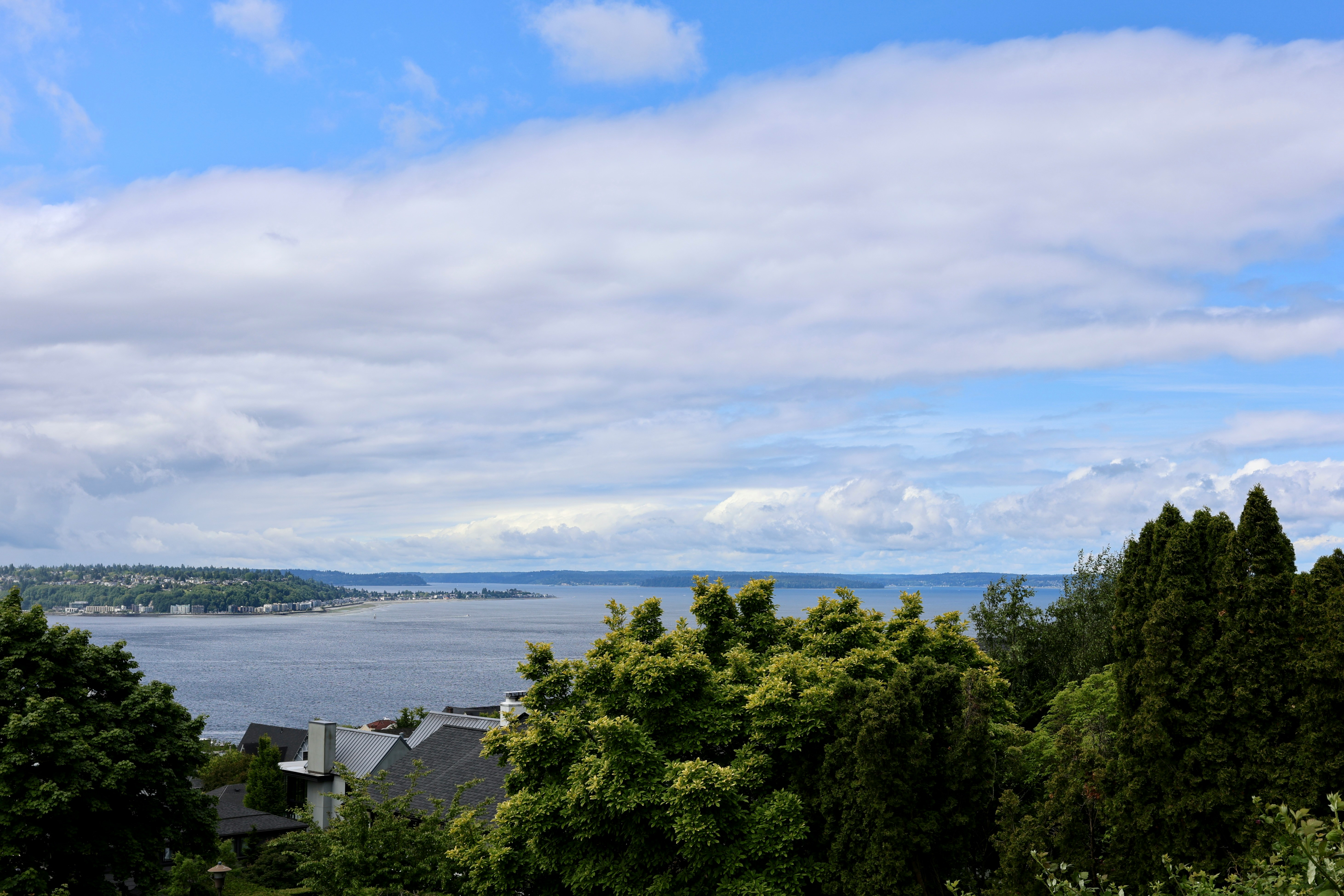 Current Market Insights for Seattle header image.