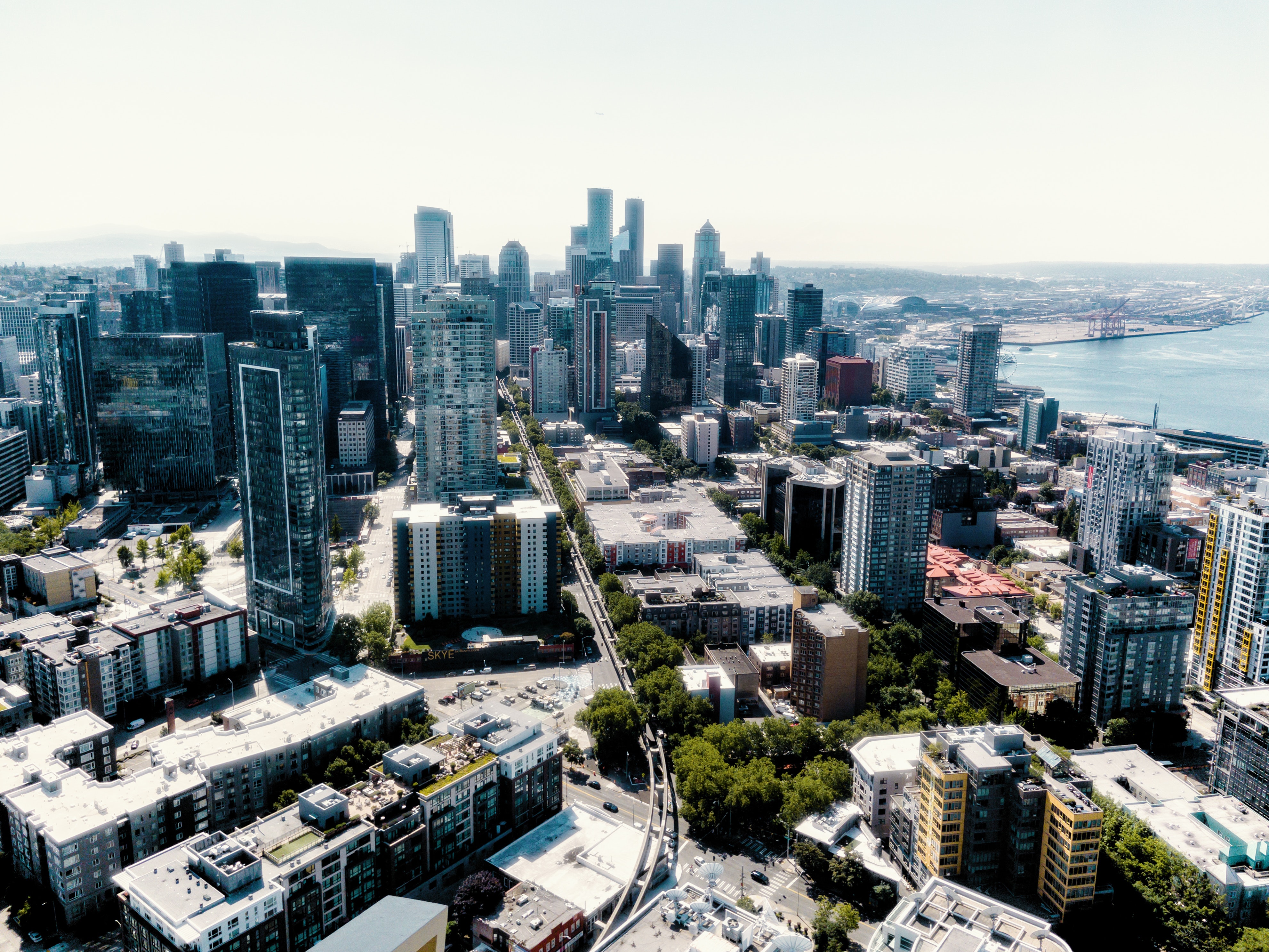Guide to Buying a Luxury Apartment in Seattle header image.