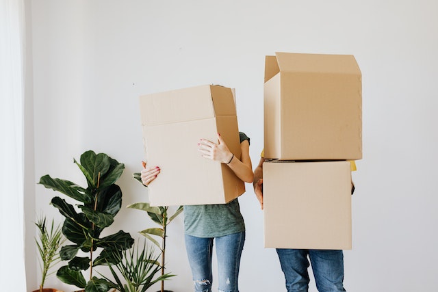 August Newsletter: What Buyers are Really Putting Down header image.