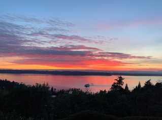 Web Cams Around Washington State header image.