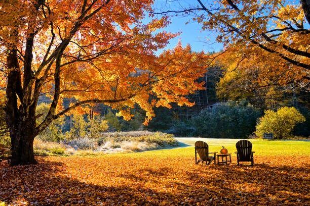 September Newsletter header image.