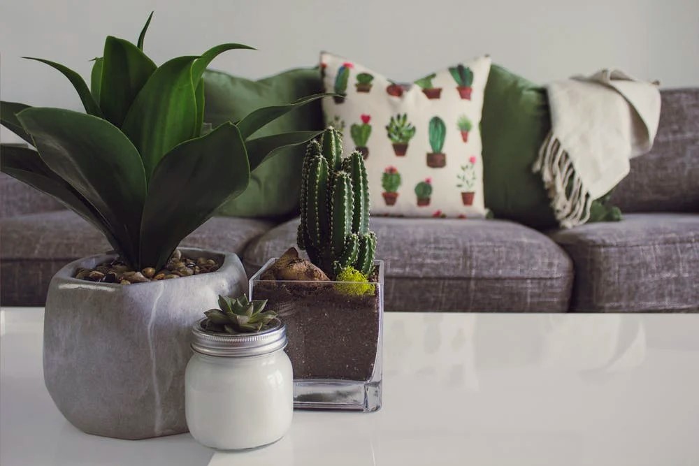 Redecorate and Renew Your Home With a Few Smart Tips header image.