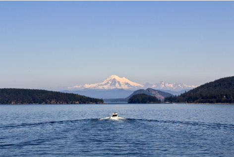 Washington State Ranked #1 header image.