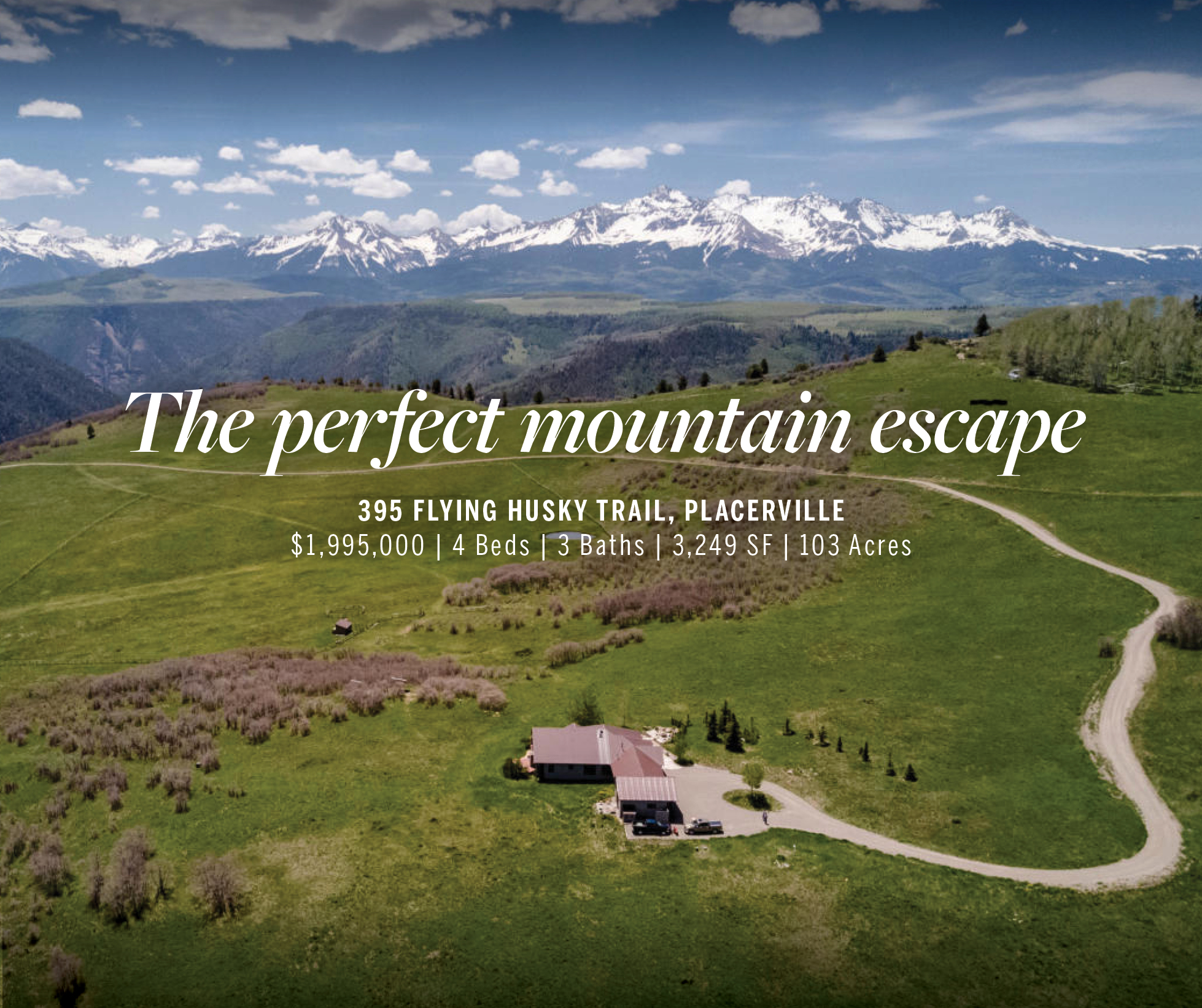 395 Flying Husky - Perfect Survival Escape! header image.