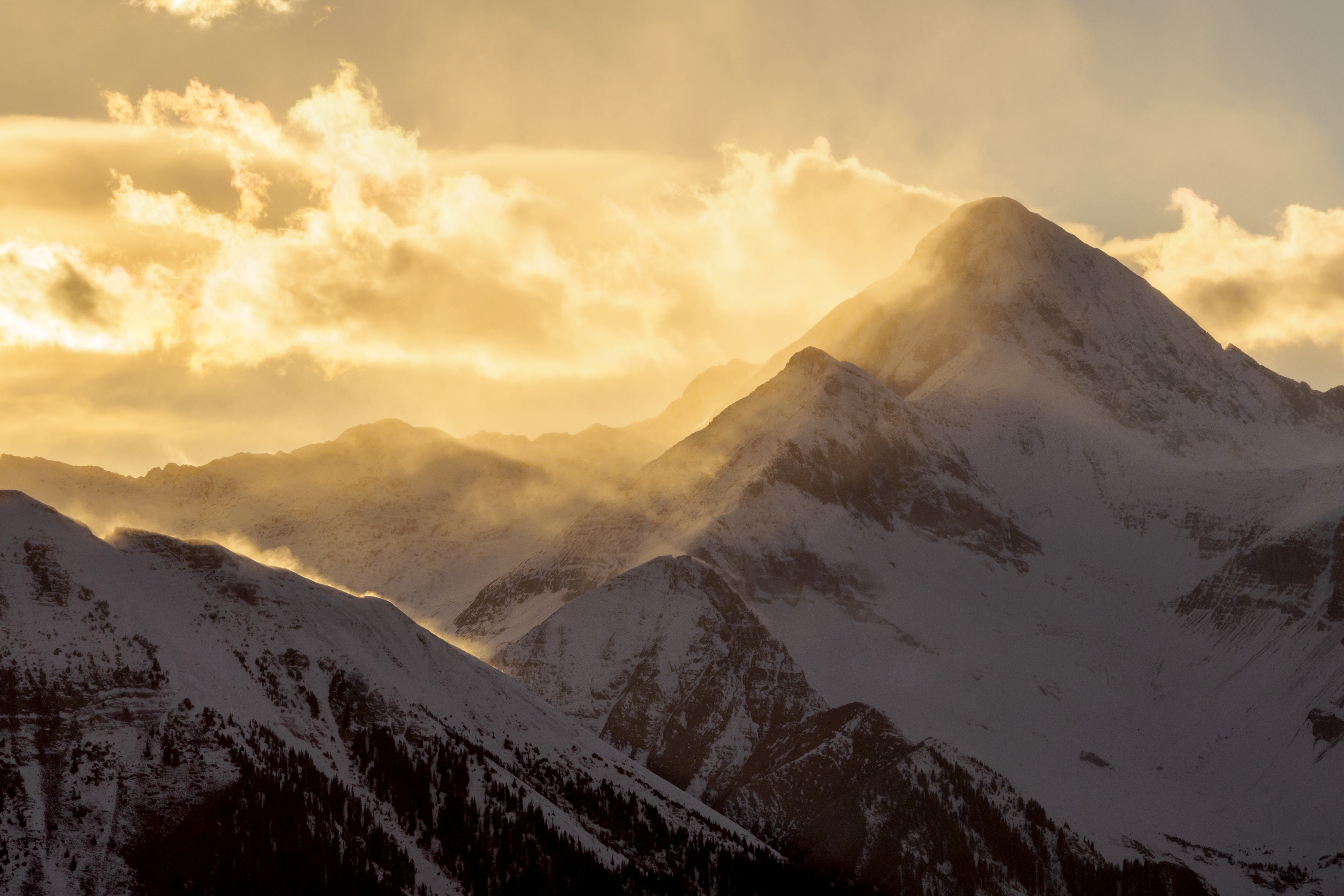 Check out my Telluride March 2024 Newsletter here! header image.