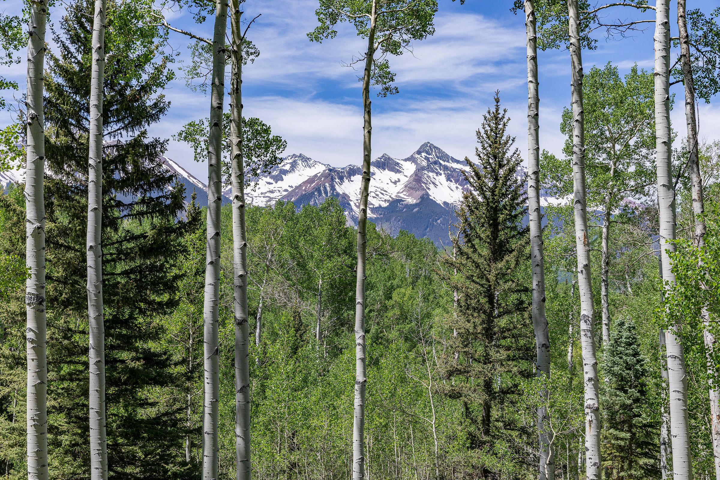 CLOSED - Elk Run Lots 2 and 4, Telluride, CO - $1,500,000 header image.