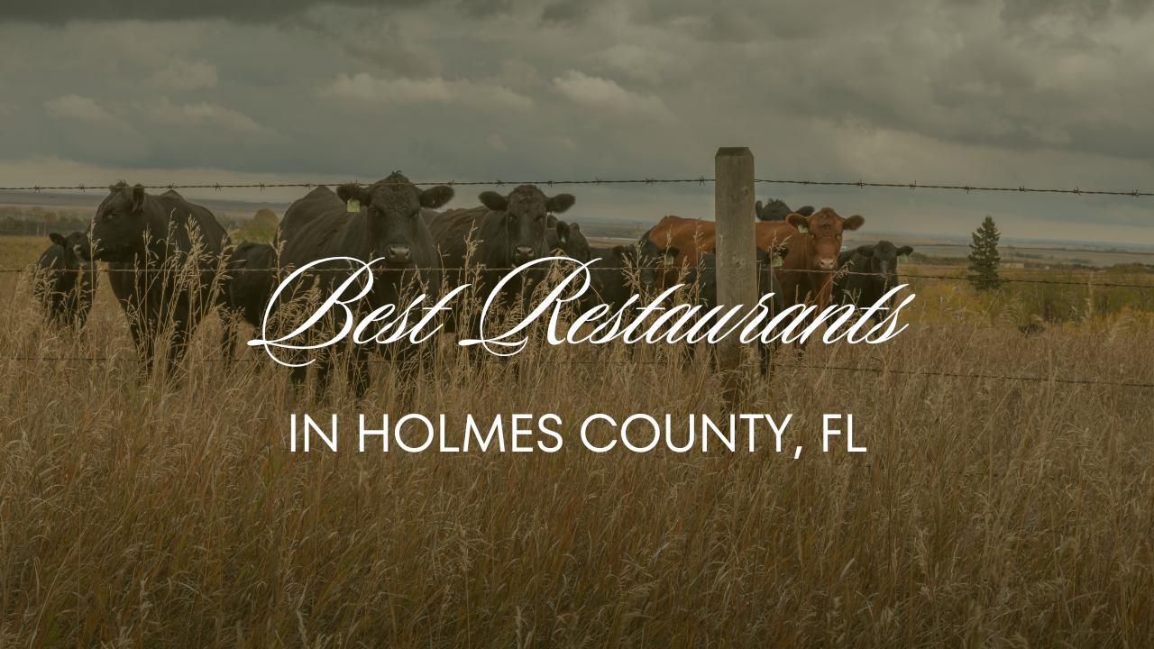 Best Restaurants in Holmes County, FL header image.
