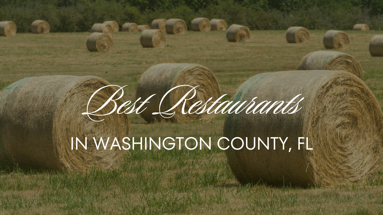 Best Restaurants in Washington County, FL header image.