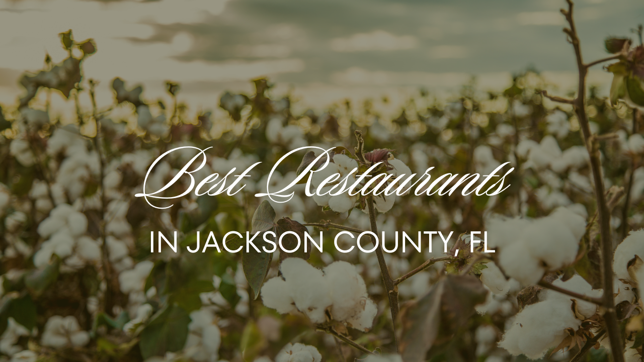 Best Restaurants in Jackson County, FL header image.