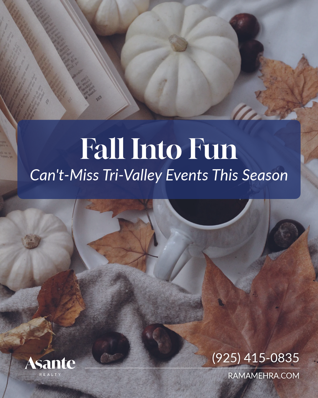 Fall Into Fun: Can't-Miss Tri-Valley Events This Season