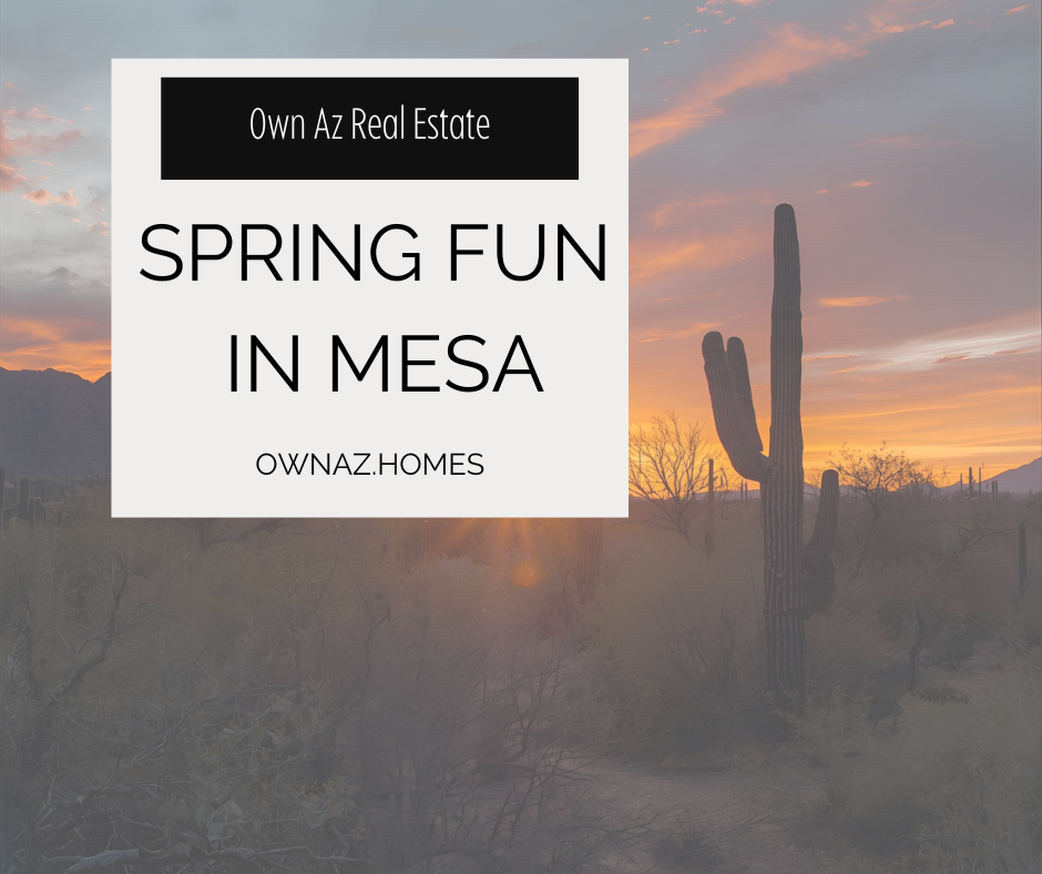 Things to Do in Mesa This Spring header image.
