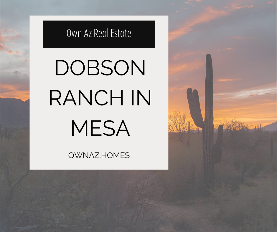 Living in Dobson Ranch: What You Need to Know header image.