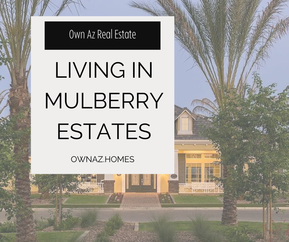 Living in Mulberry: Mesa’s Small-Town Charm with Modern Living header image.
