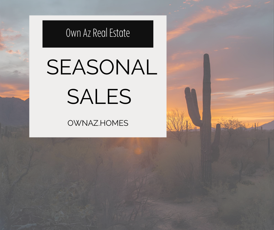 Snowbirds Boost Arizona’s Seasonal Housing Demand header image.