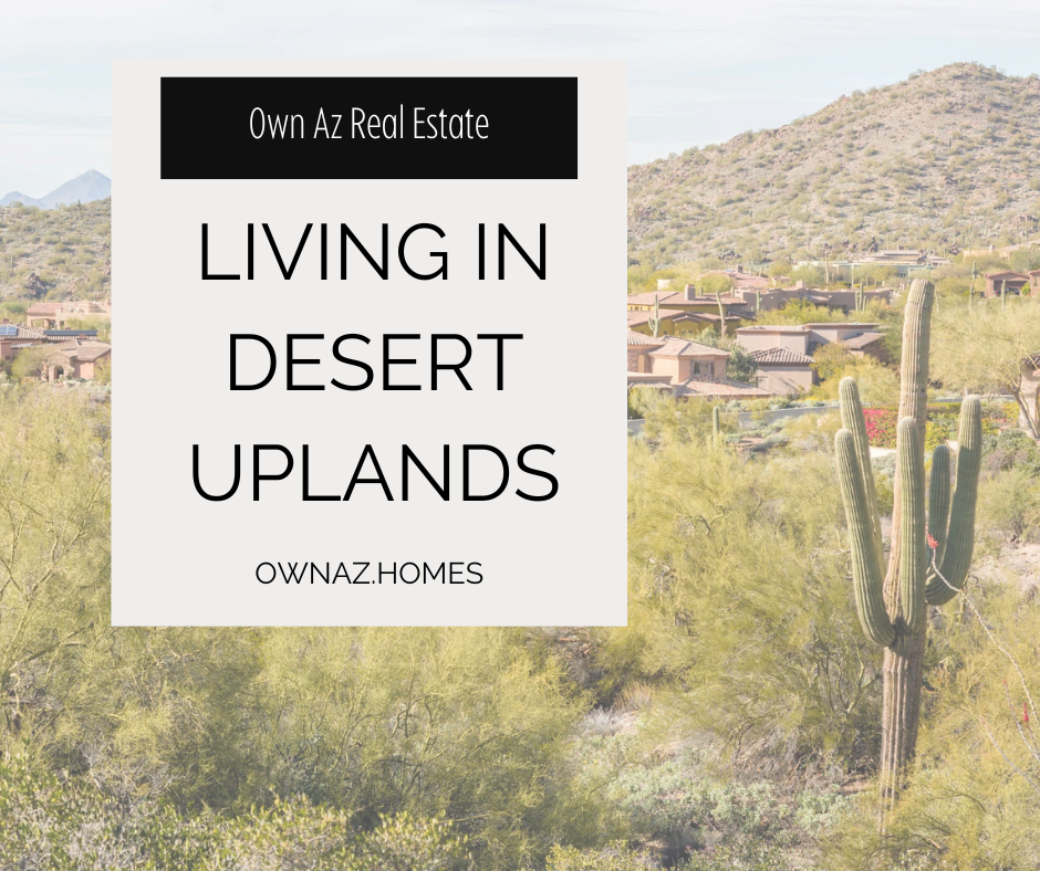 Living in Mesa’s Desert Uplands: Custom Homes & Desert Scenery header image.
