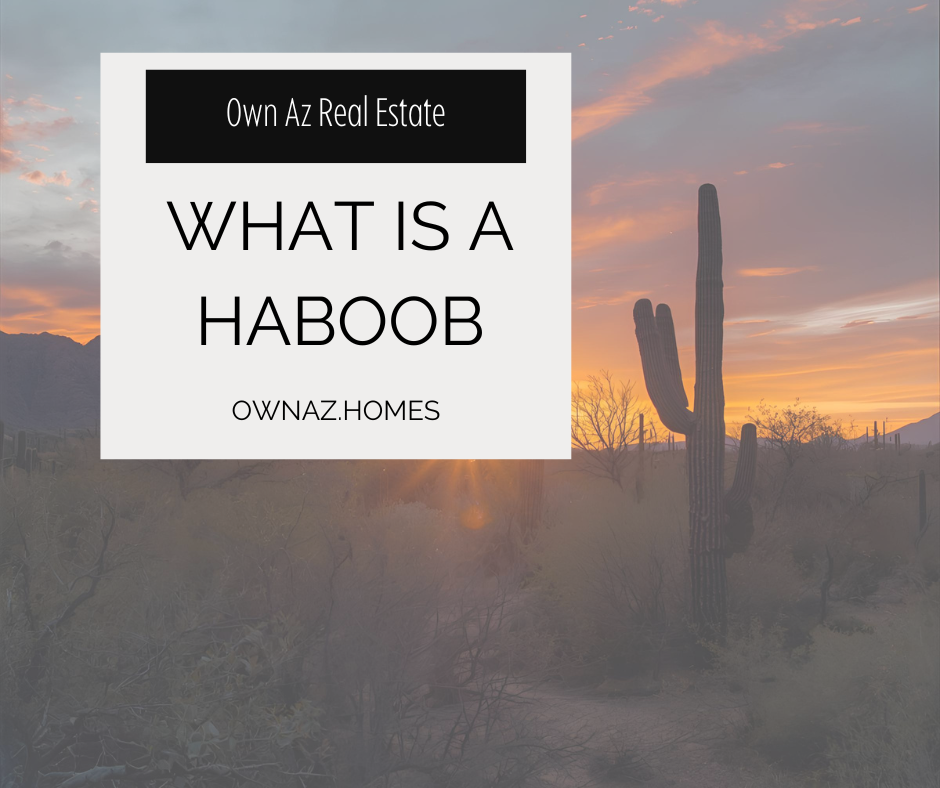 What Are Arizona Haboobs? header image.