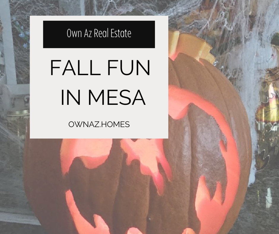 Things to Do in Mesa This Fall header image.