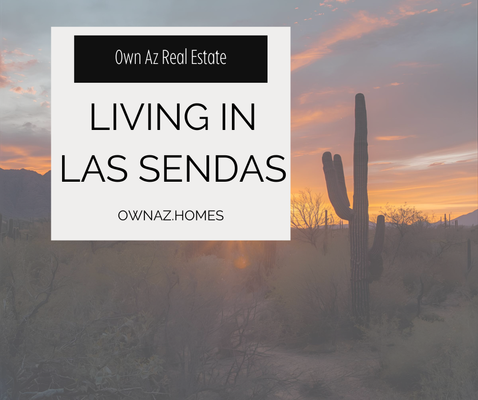 Living in Red Mountain Ranch: Golf & Desert Views in Mesa header image.