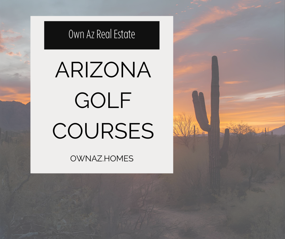Arizona has over 100 golf courses in the Phoenix Area header image.