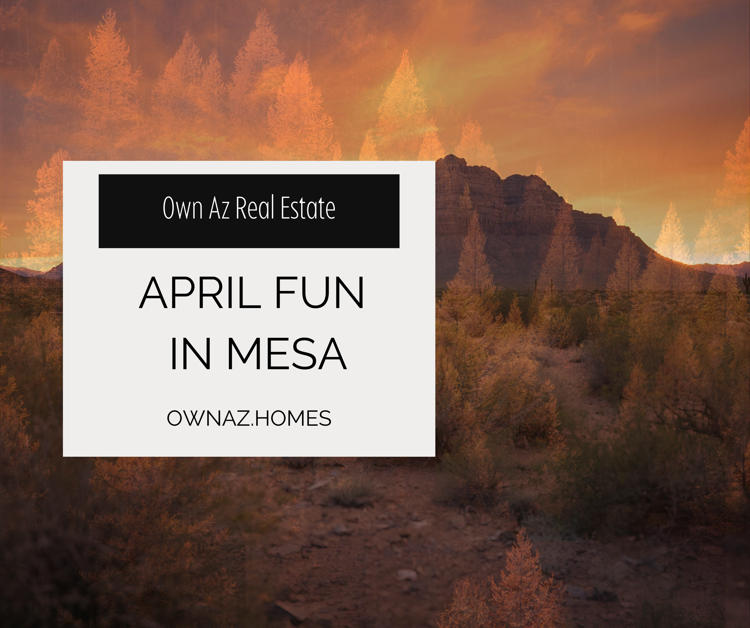 April Fun in Mesa: Sports, Events & Local Experiences header image.