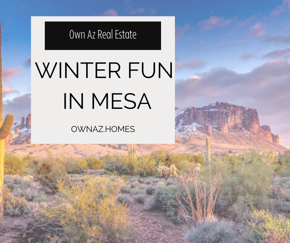Things to Do in Mesa This Winter header image.