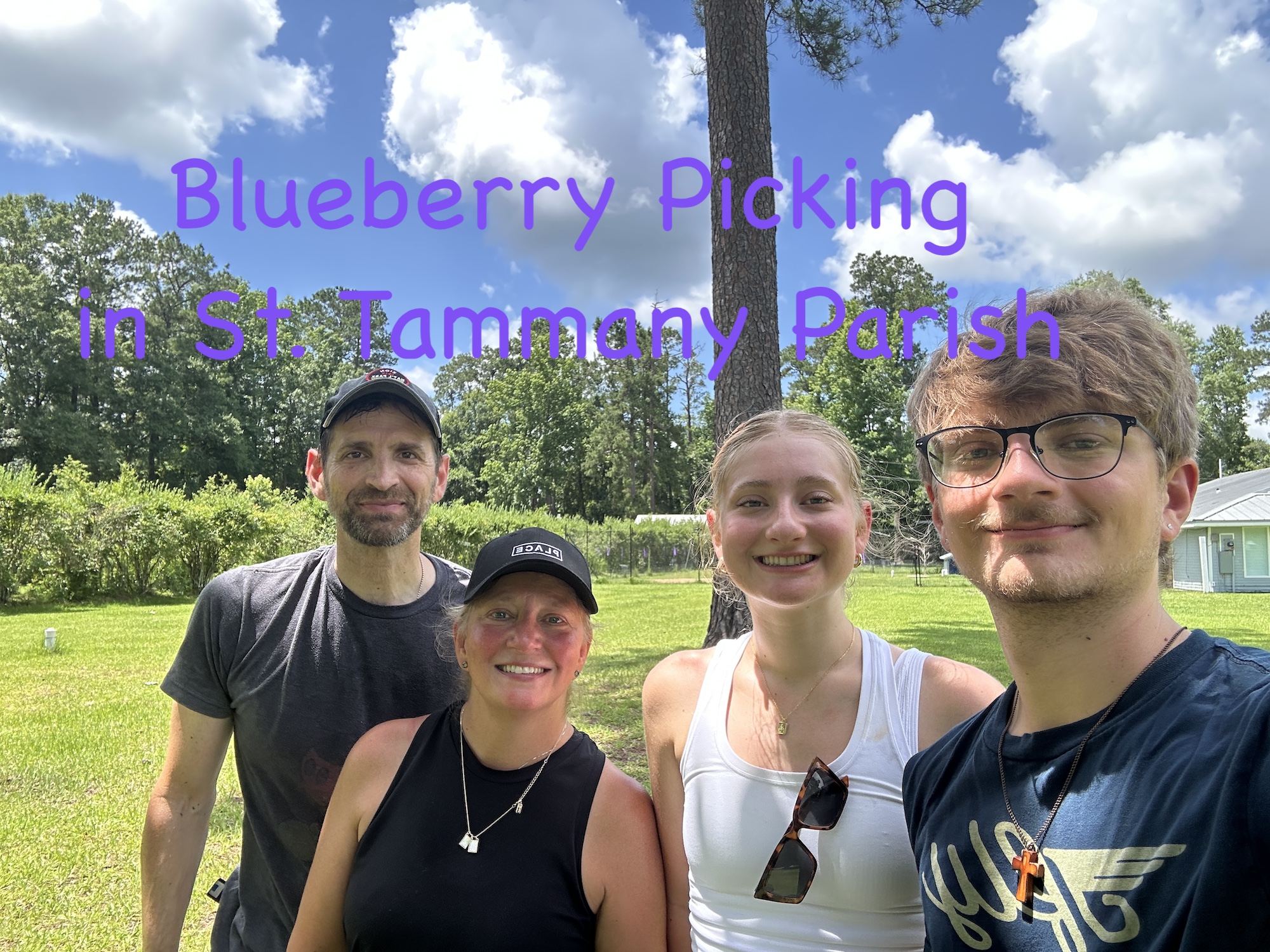 Blueberry Picking in St. Tammany Parish header image.