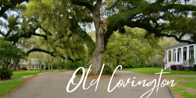 Old Covington: Southern Charm and Small Town Feel header image.