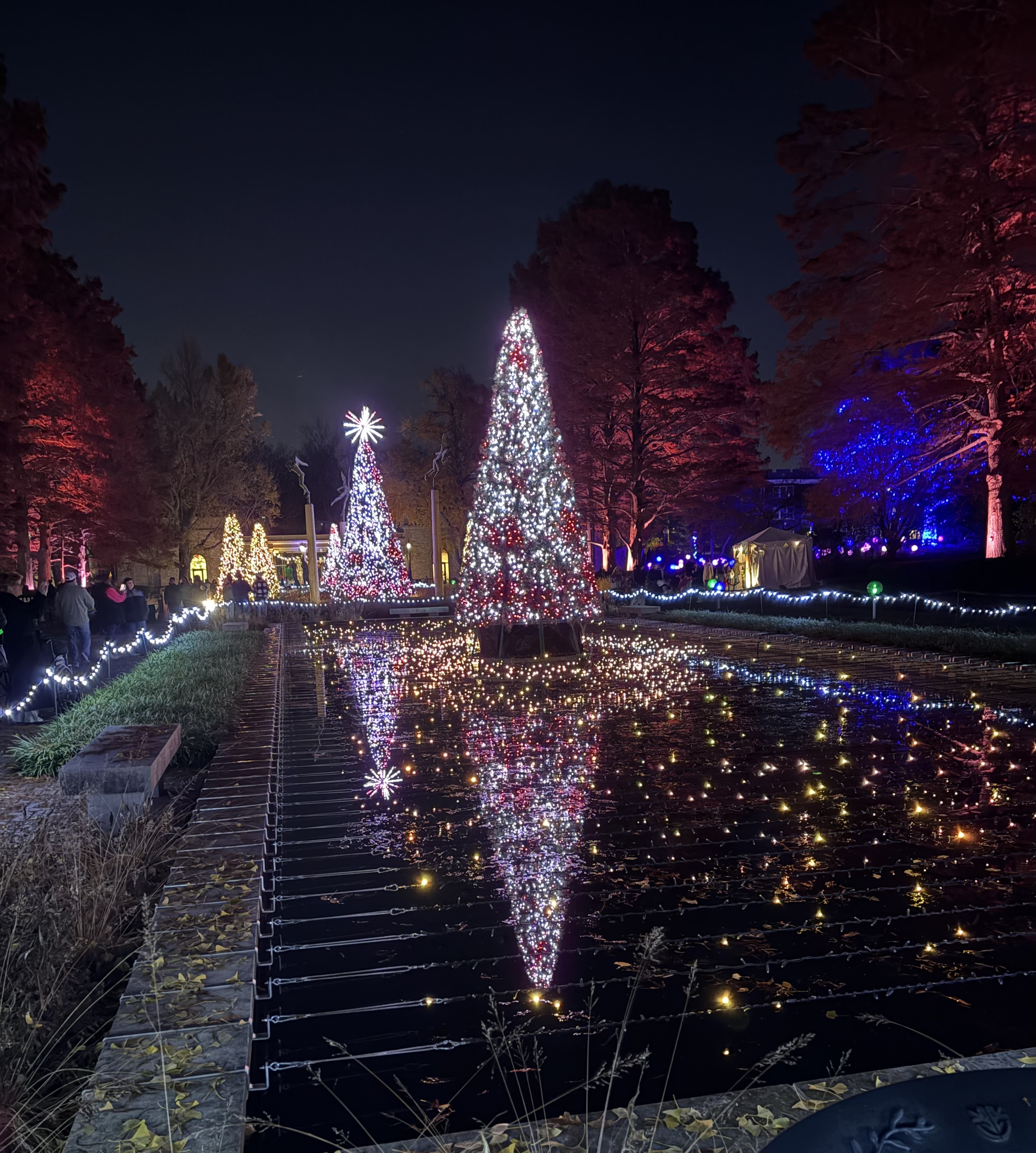 Garden Glow at Missouri Botanical Garden