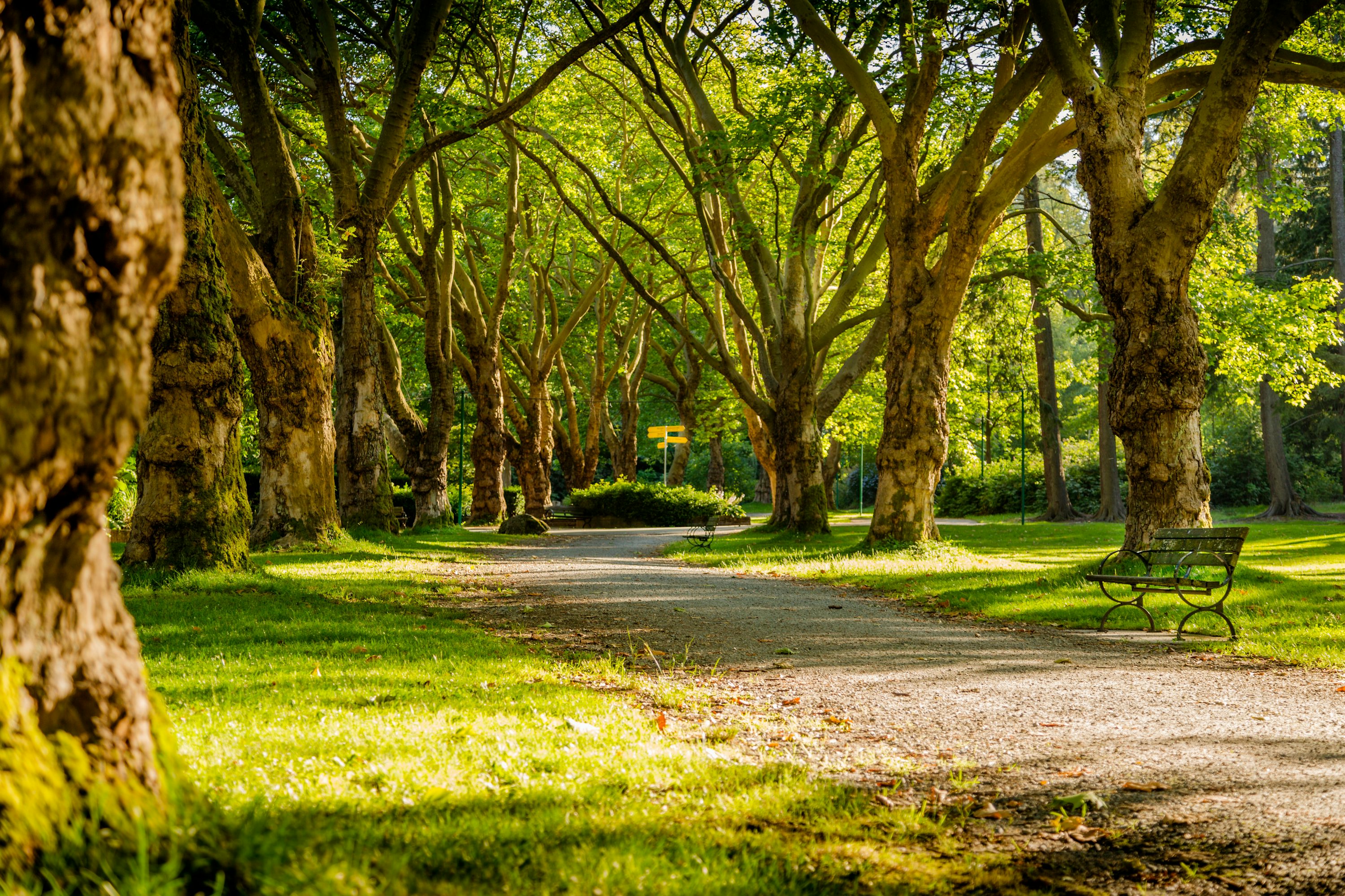 Best Parks in Florissant, Missouri header image.