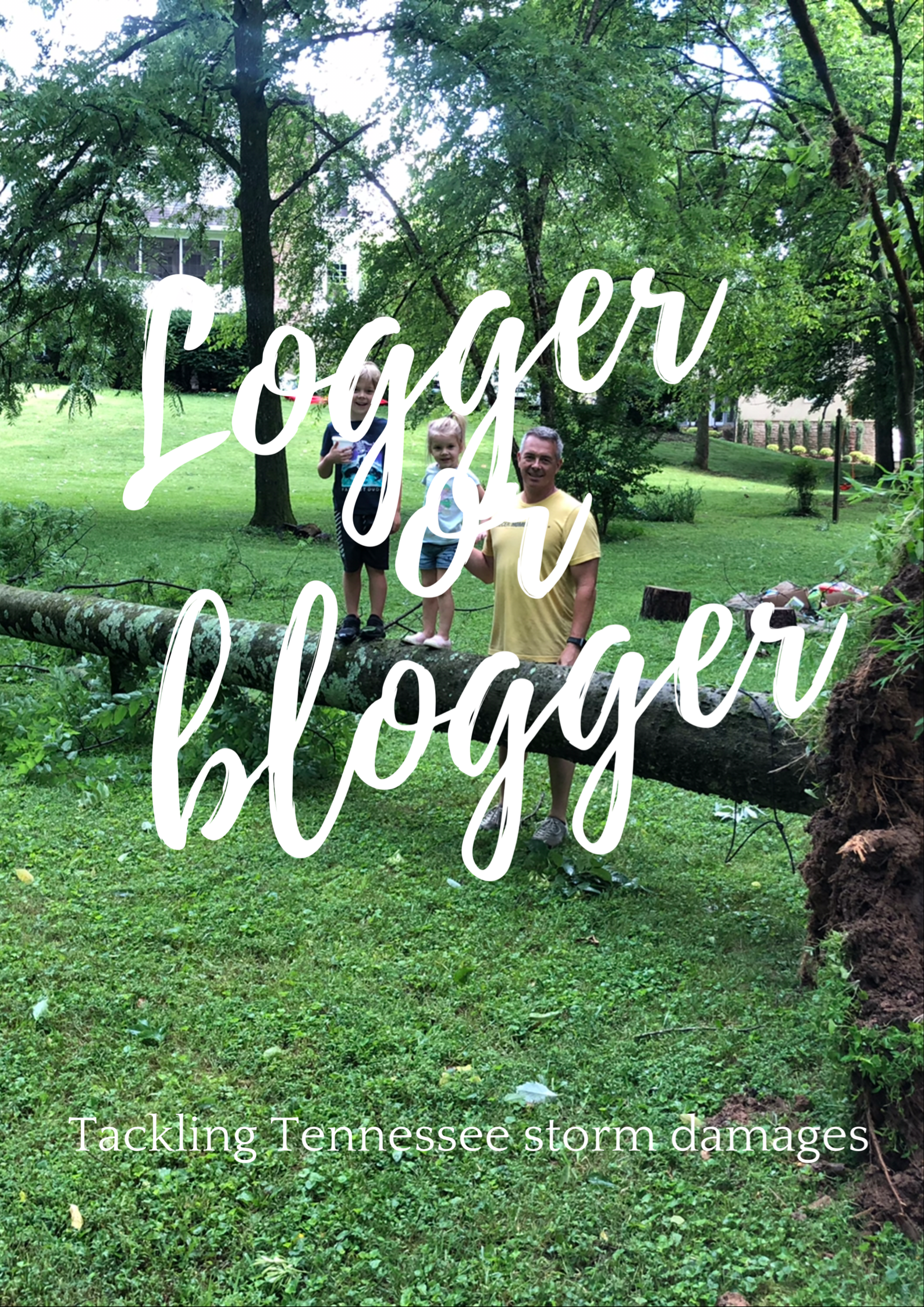 Logger or Blogger header image.