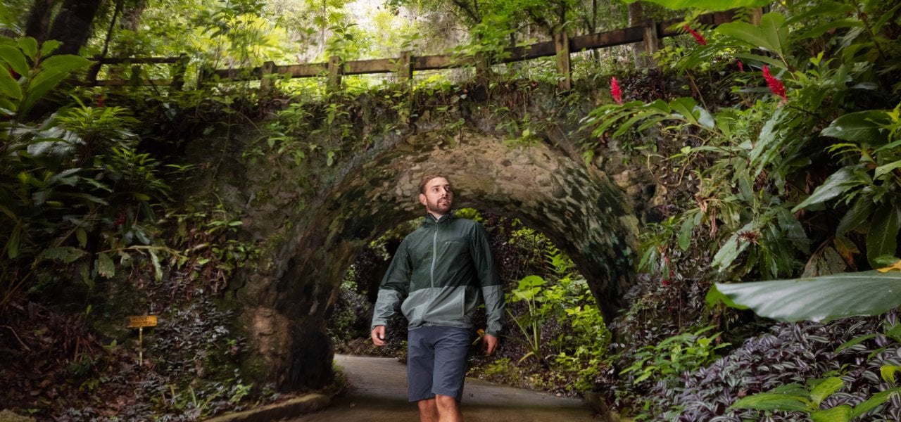 Mejores Lugares para la Observación de Aves en Puerto Rico Por Discover Puerto Rico header image.