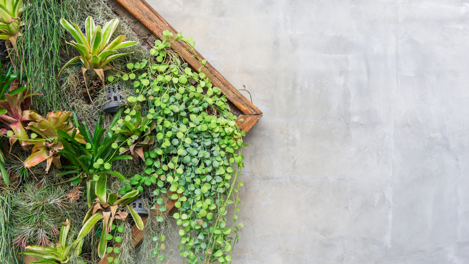 Growing Up: Getting Your Vertical Garden Ready for Spring By HomeKeepr header image.
