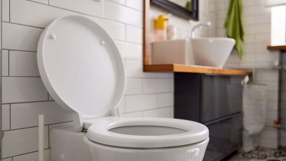 La Renovación de Baño Económica Que Ahorra Dinero y Agua Por Realtor.com header image.