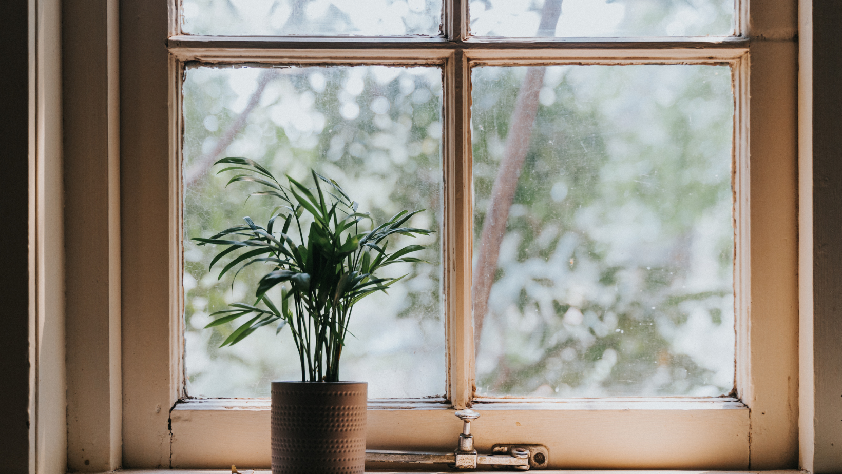 Is It Time to Replace Your Windows? by HomeKeepr header image.