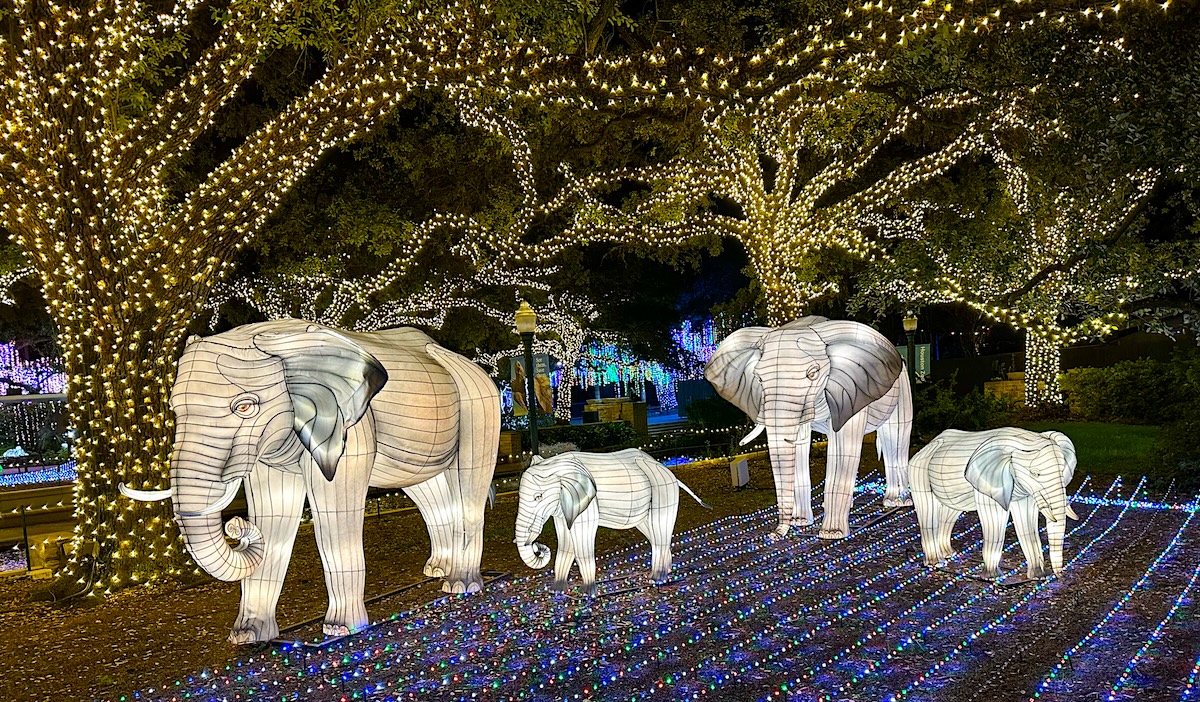 Plan Your Weekend: November 21 to 24, 2024 By 365thingsinhouston header image.