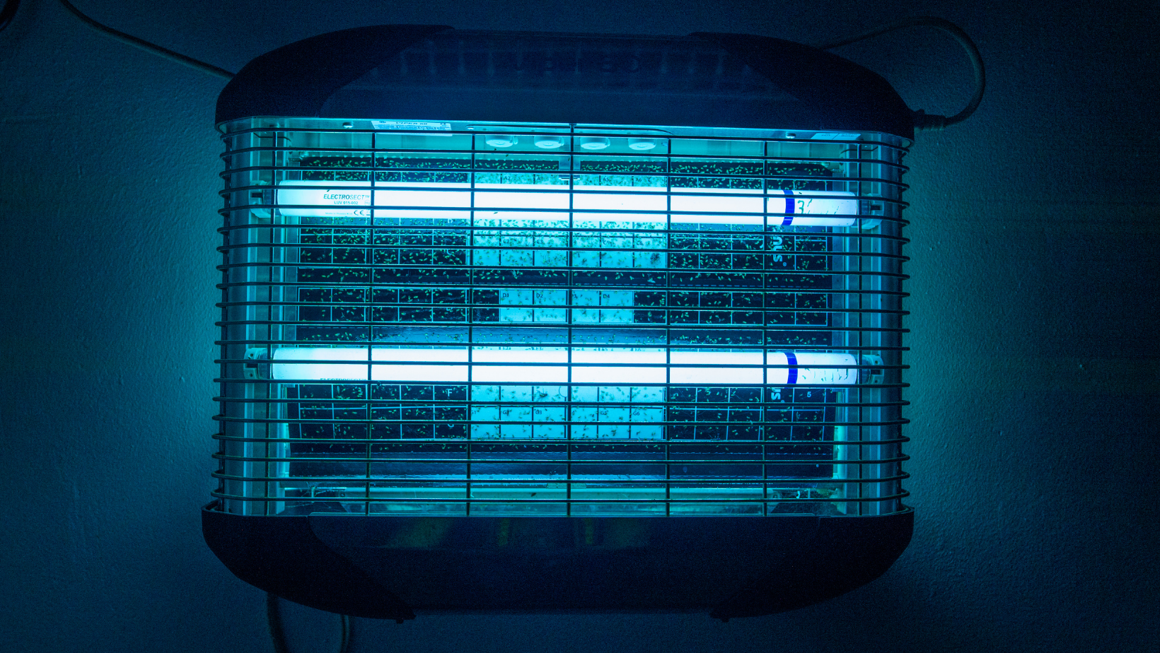 How Do You Use a Bug Zapper? by HomeKeepr header image.