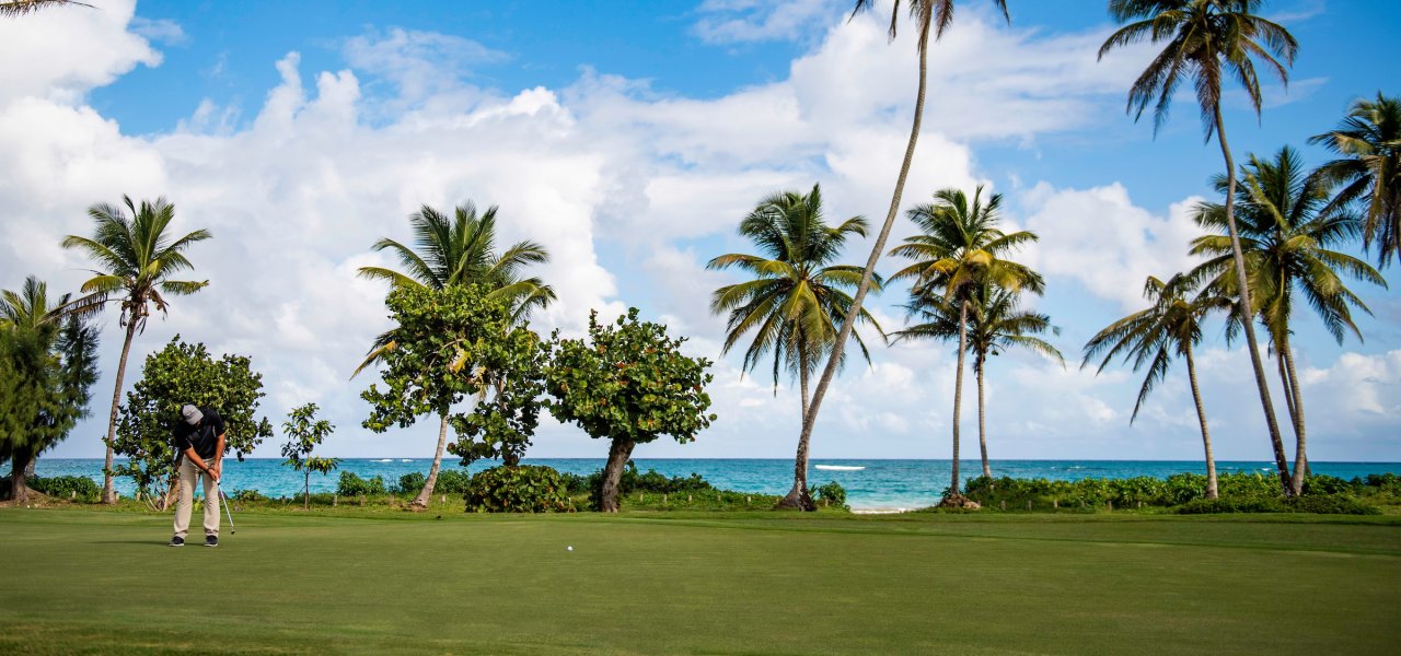Qué hacer en Dorado Por Discover Puerto Rico header image.