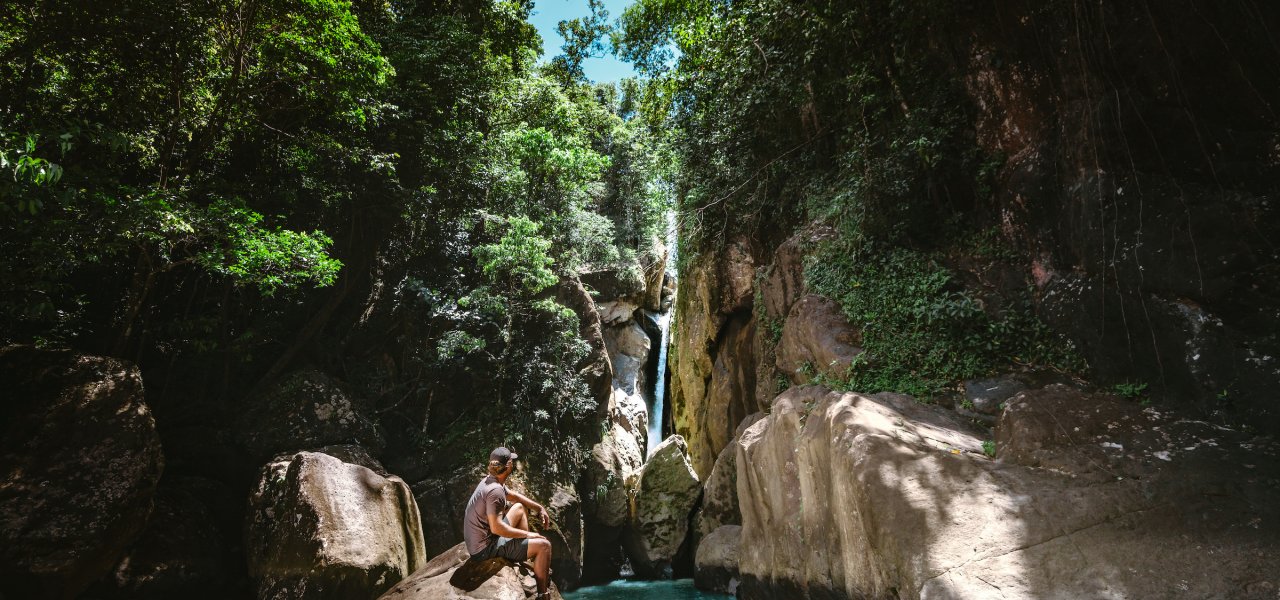 Cómo explorar y preservar el Bosque Nacional El Yunque – por Discover Puerto Rico header image.