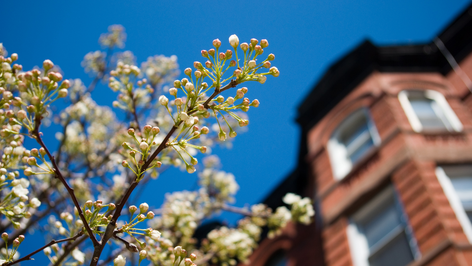 This Spring Presents Sellers with a Golden Opportunity By Keeping Current Matters header image.