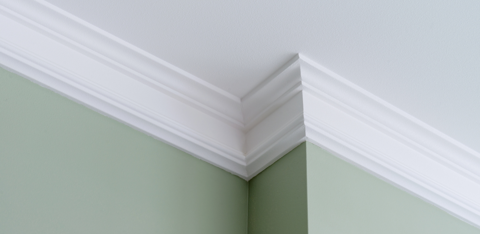 Controlling Mold By HomeKeepr header image.