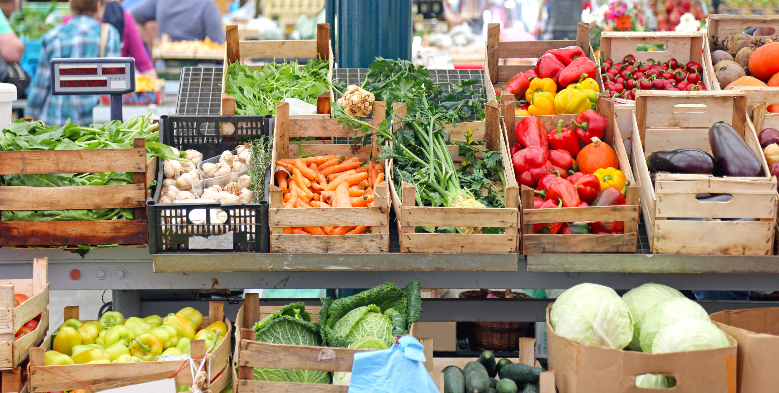 Winter Haven Farmers Market by Visit Central Florida header image.