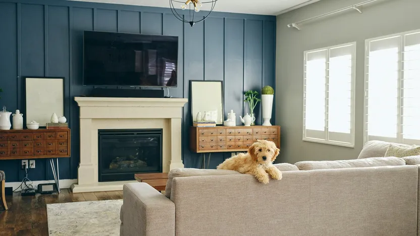 Good Dog! Why Pets Are Popping Up in Listing Photos—but This Cuteness Could Come Back To Bite You By Realtor.com header image.