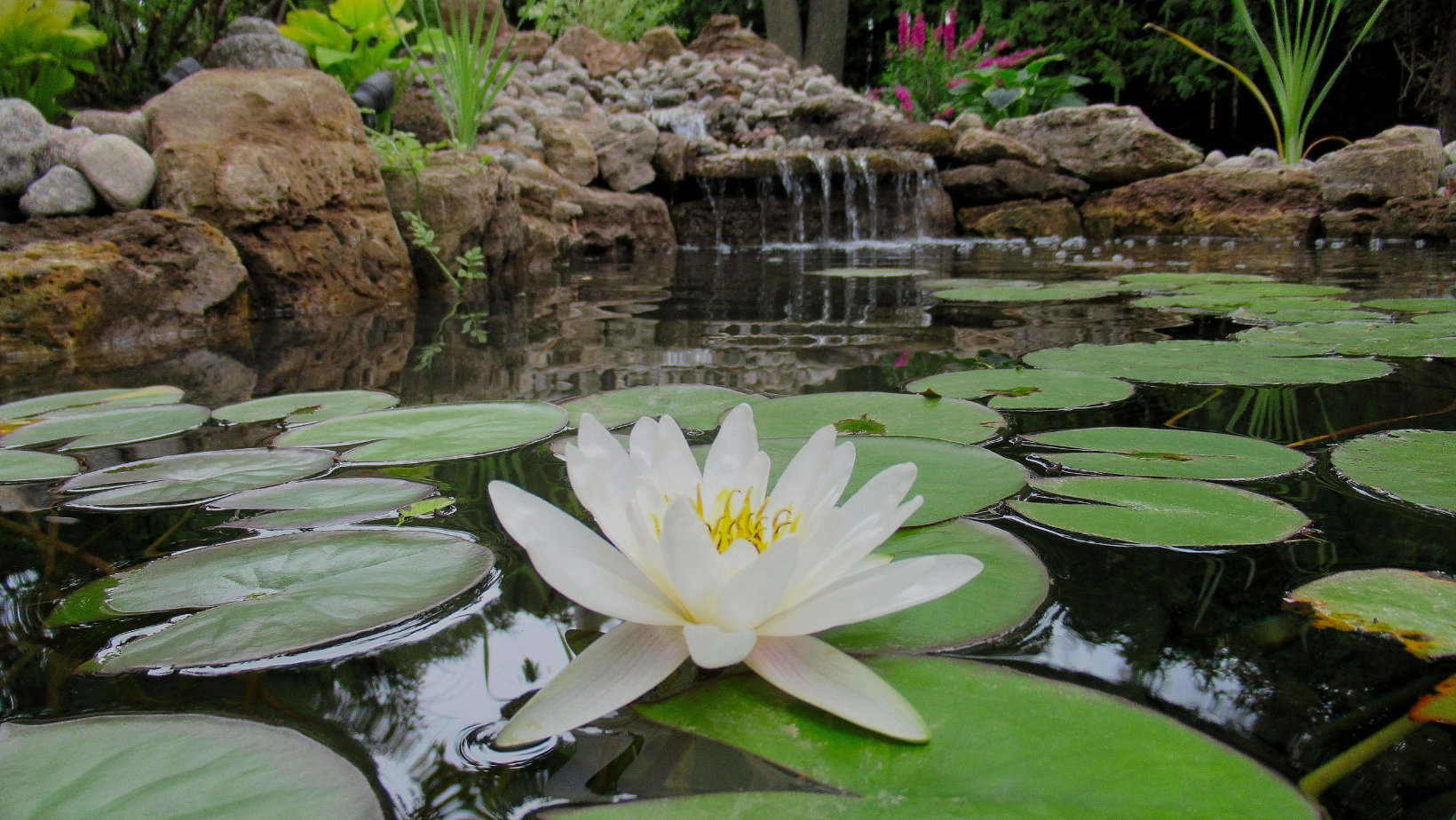Considering a Yard Pond? by HomeKeepr header image.
