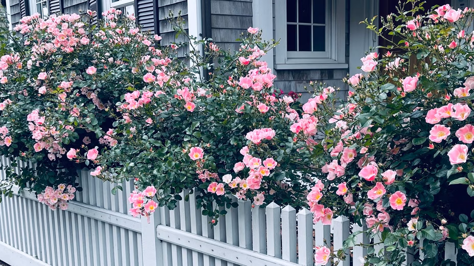 Olvídate del paisajismo—esta sencilla mejora en la verja puede ayudarte a vender tu casa Por Realtor.com header image.