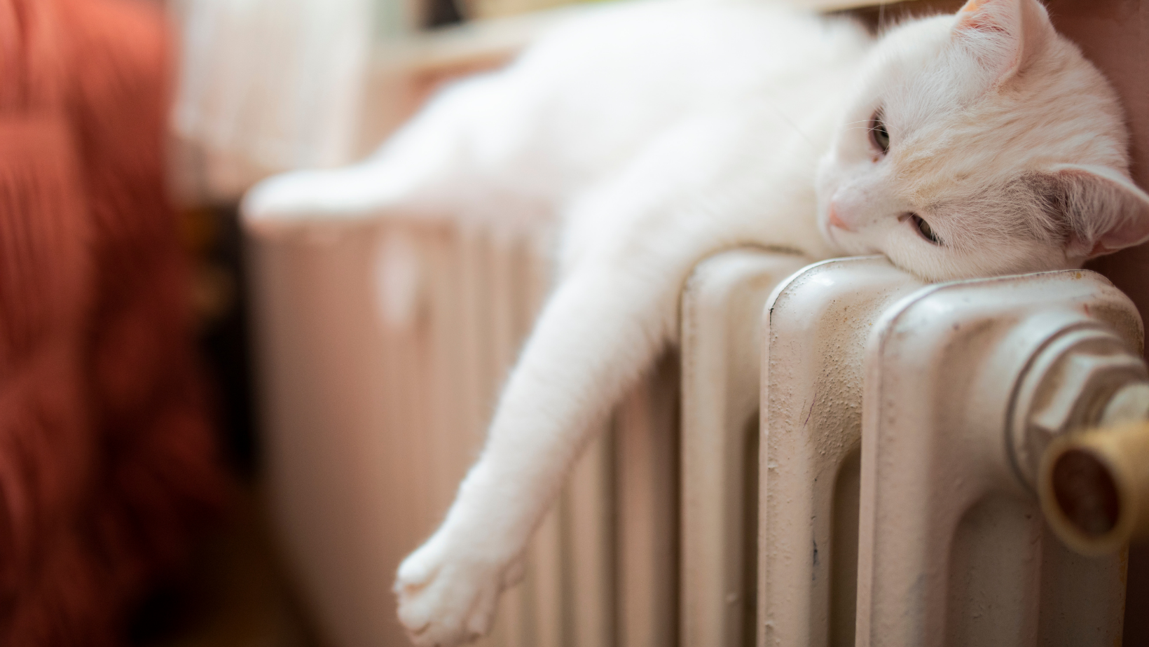 How Does a Radiator System Work? ByHomeKeepr header image.