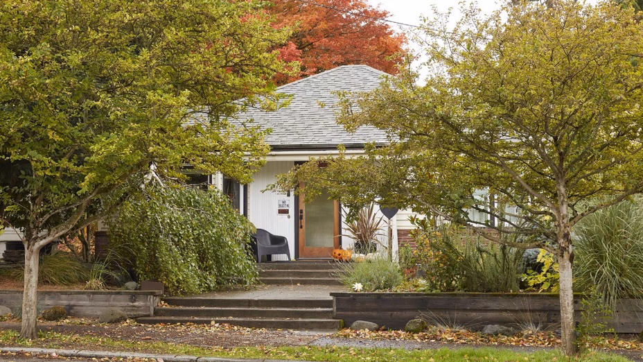 ¿El árbol de tu vecino está invadiendo tu patio? Lo que sí (y lo que no) puedes hacer al respecto – Por Realtor.com header image.